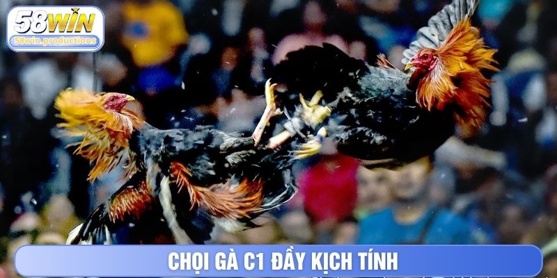 Chọi gà C1 đầy kịch tính