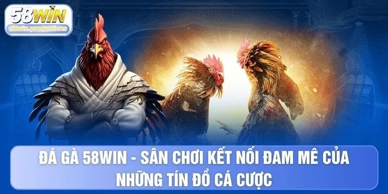 Đá gà 58WIN