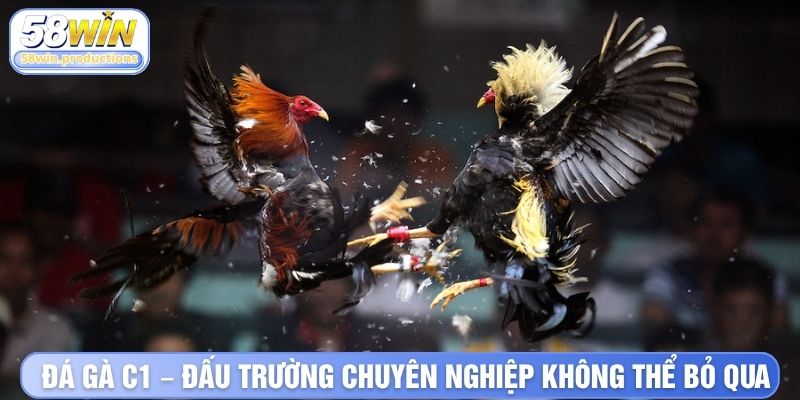 Đá Gà C1