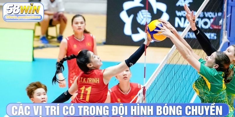 Đội hình bóng chuyền các vị trí