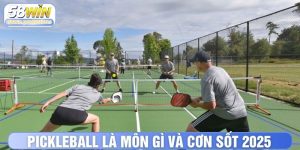 Pickleball là môn gì thumb