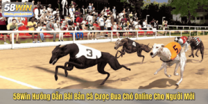 58Win Hướng Dẫn Bài Bản Cá Cược Đua Chó Online Cho Người Mới