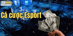 Cá cược Esport: Hướng dẫn chi tiết cho người mới bắt đầu