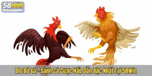 DIG Đá Gà – Sảnh Cá Cược Hấp Dẫn Bậc Nhất Tại 58Win