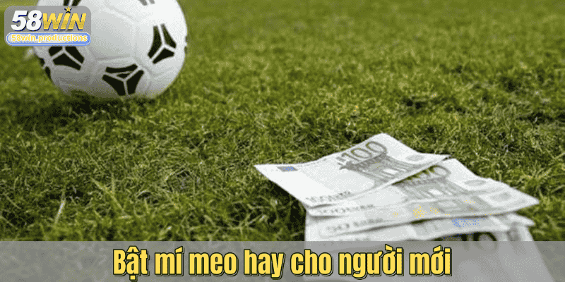 Bật mí mẹo hay cho người mới