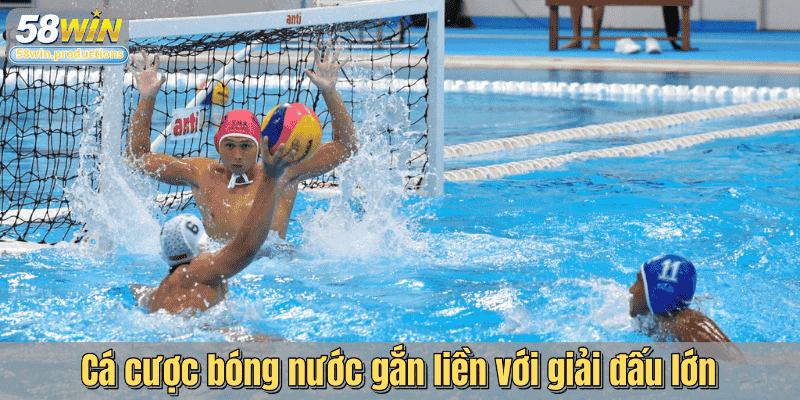 Cá cược bóng nước gắn liền với giải đấu lớn