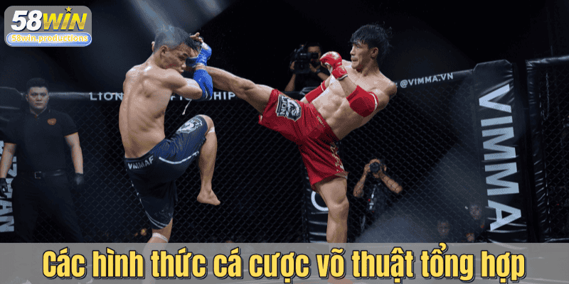 Các hình thức cá cược võ thuật tổng hợp