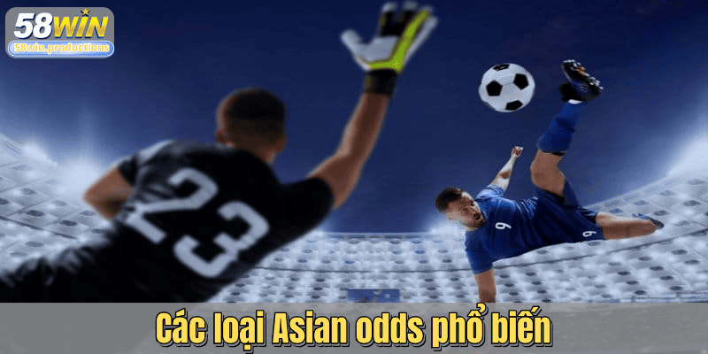 Các loại Asian odds phổ biến