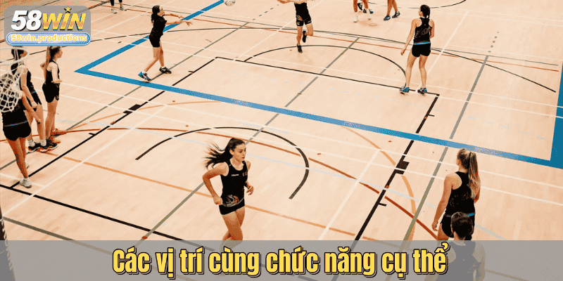Các vị trí cùng chức năng cụ thể