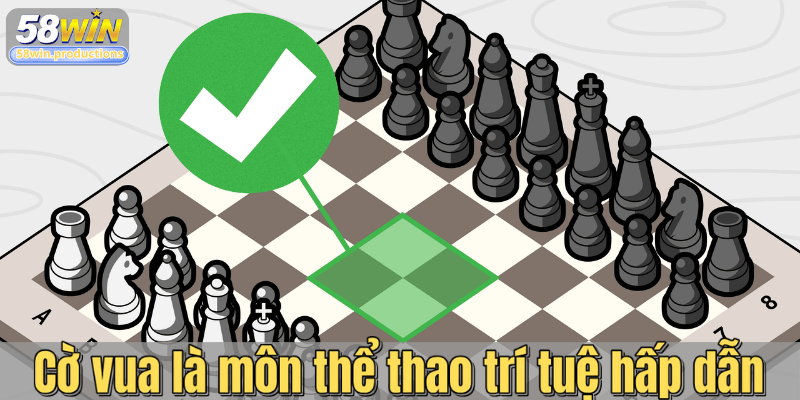 Cờ vua là môn thể thao trí tuệ hấp dẫn