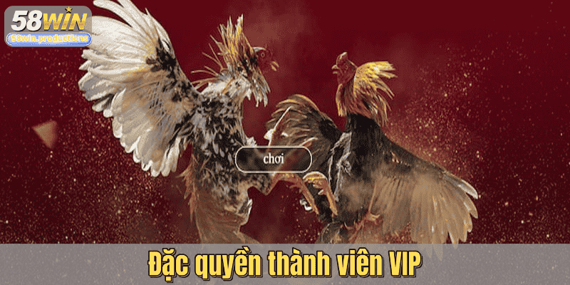 Đặc quyền thành viên VIP