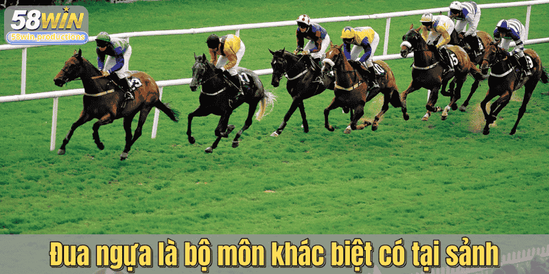 Đua ngựa là bộ môn khác biệt có tại sảnh