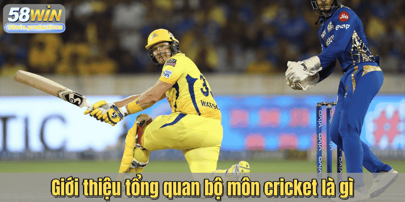 Giới thiệu tổng quan bộ môn cricket là gì