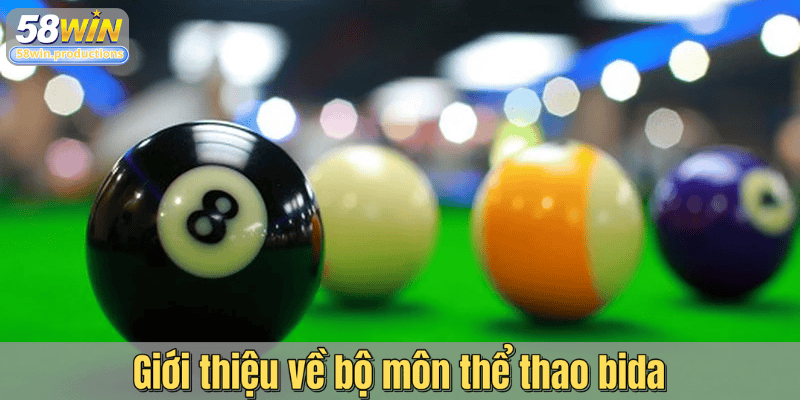 Giới thiệu về bộ môn thể thao bida