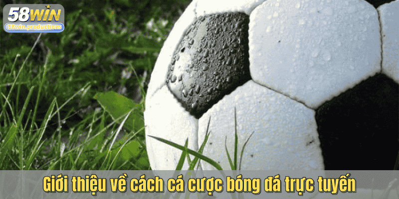 Giới thiệu về cách cá cược bóng đá trực tuyến
