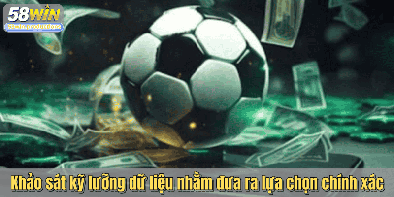 Khảo sát kỹ lưỡng dữ liệu nhằm đưa ra lựa chọn chính xác