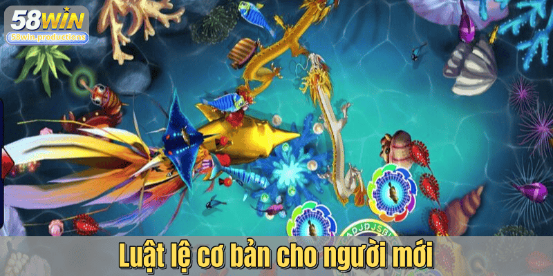 Luật lệ cơ bản cho người mới