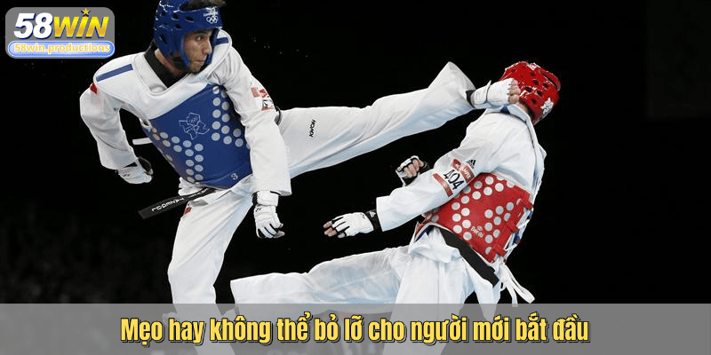 Mẹo hay không thể bỏ lỡ cho người mới bắt đầu