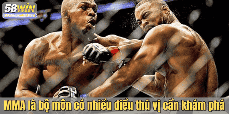 MMA là bộ môn có nhiều điều thú vị cần khám phá