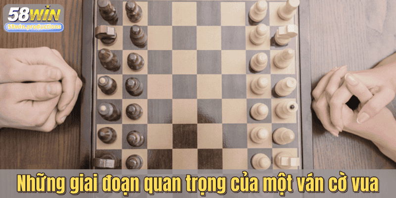 Những giai đoạn quan trọng của một ván cờ vua