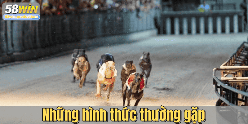 Những hình thức thường gặp