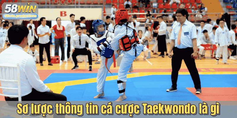Sơ lược thông tin cá cược Taekwondo là gì
