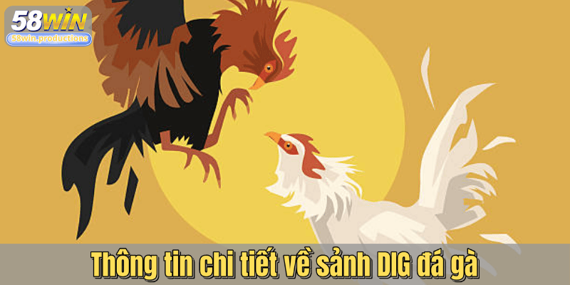 Thông tin chi tiết về sảnh DIG đá gà