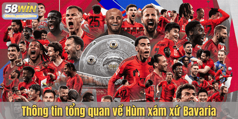 Thông tin tổng quan về Hùm xám xứ Bavaria