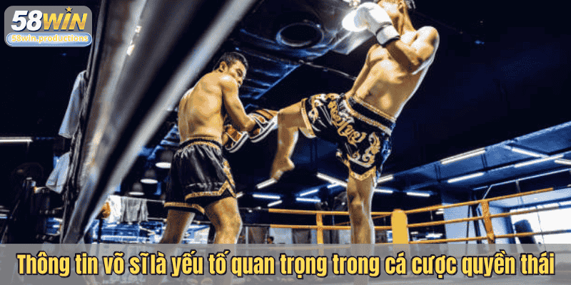 Thông tin võ sĩ là yếu tố quan trọng trong cá cược quyền thái