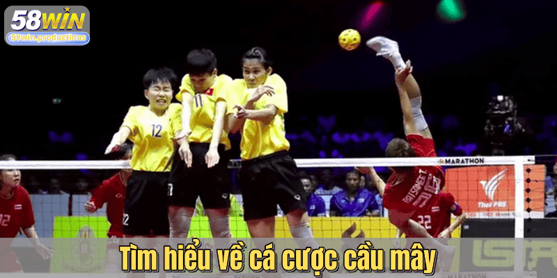 Tìm hiểu về cá cược cầu mây