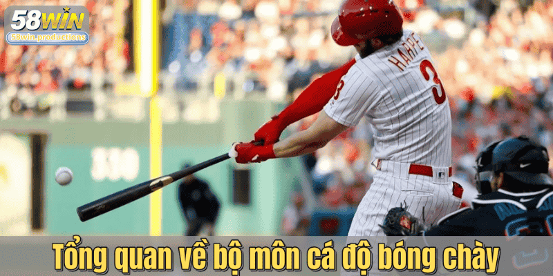 Tổng quan về bộ môn cá độ bóng chày