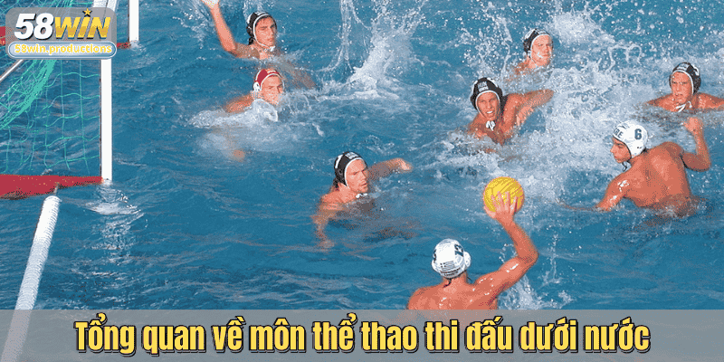 Tổng quan về môn thể thao thi đấu dưới nước