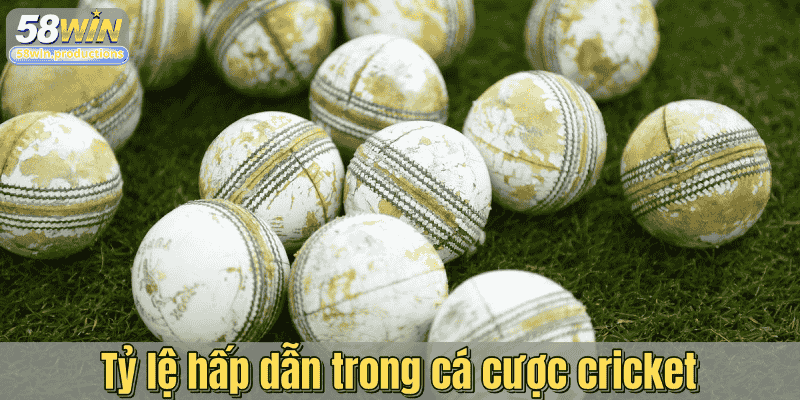 Tỷ lệ hấp dẫn trong cá cược cricket