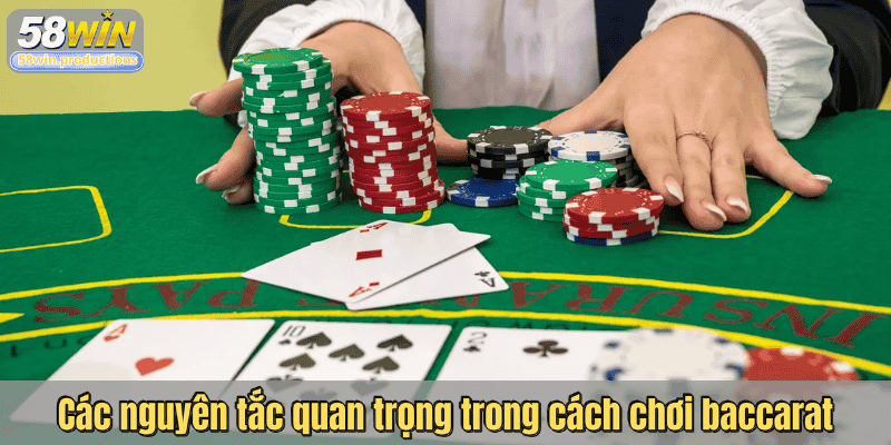 Các nguyên tắc quan trọng trong cách chơi baccarat