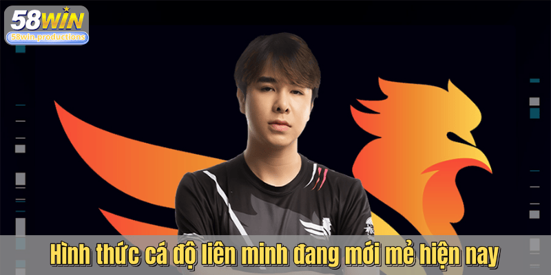 Hình thức cá độ liên minh đang mới mẻ hiện nay