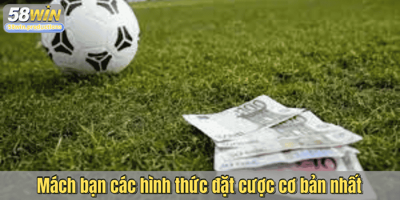 Mách bạn các hình thức đặt cược cơ bản nhất