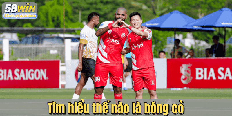 Tìm hiểu thế nào là bóng cỏ